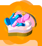 1278.gif